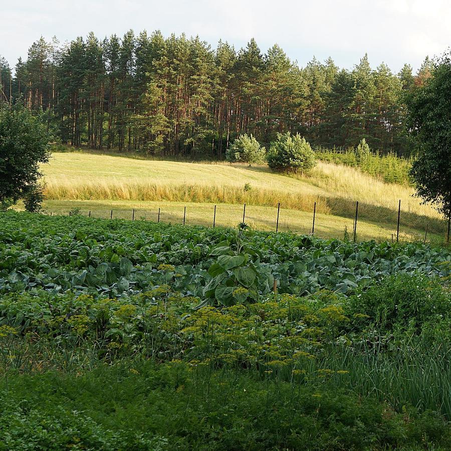 Warminskie Uroczysko Villa Raszag Luaran gambar