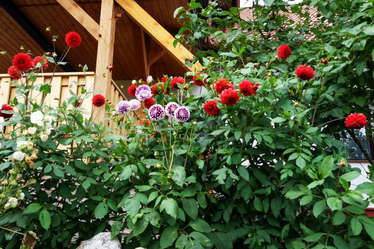 Warminskie Uroczysko Villa Raszag Luaran gambar